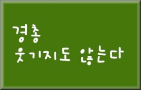 copy_t_20081011_14.jpg